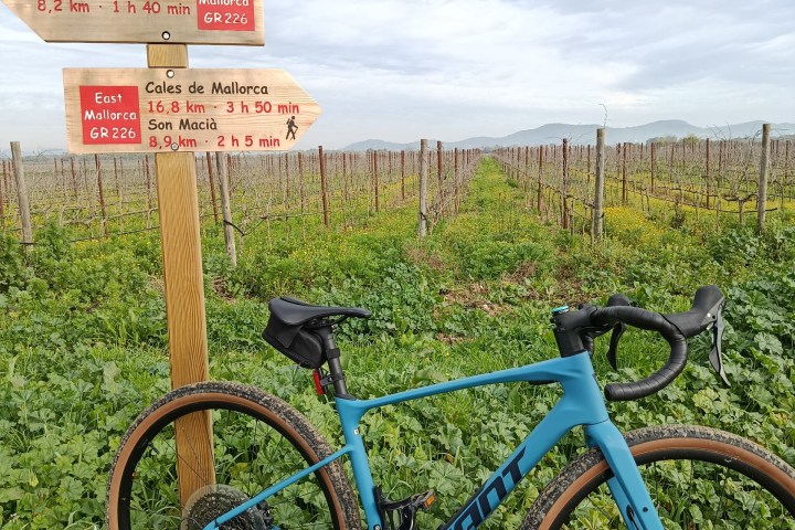Blue bike leaning against a wooden signpost in a green vineyard field under a cloudy sky.